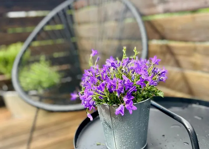 Feelslikehome - Urbane Altbauwohnung Mit Dachterasse& Parkplatz Бохум